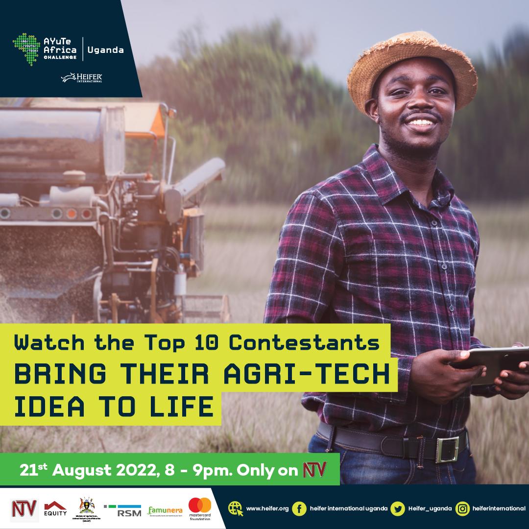 Hope on Twitter "RT Heifer_Uganda 𝐓𝐇𝐄 𝐒𝐓𝐀𝐊𝐄𝐒 𝐀𝐑𝐄 𝐇𝐈𝐆𝐇 𝐍𝐎𝐖!! Who