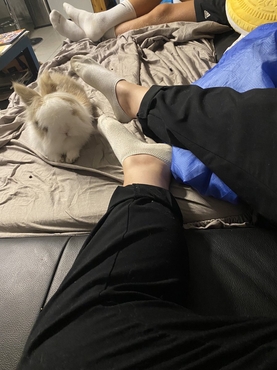 alixou29's tweet photo. À l’aise le Pika..! #mongrosBB https://t.co/eCGWctqP1o