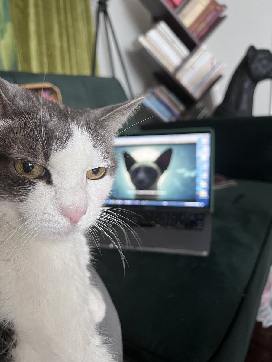 Allowed Qpi to watch the new episodes of The Sandman. I tried telling her it wasn’t my dream. She’d like to thank <a href="/neilhimself/">Neil Gaiman</a> for exposing the truth.