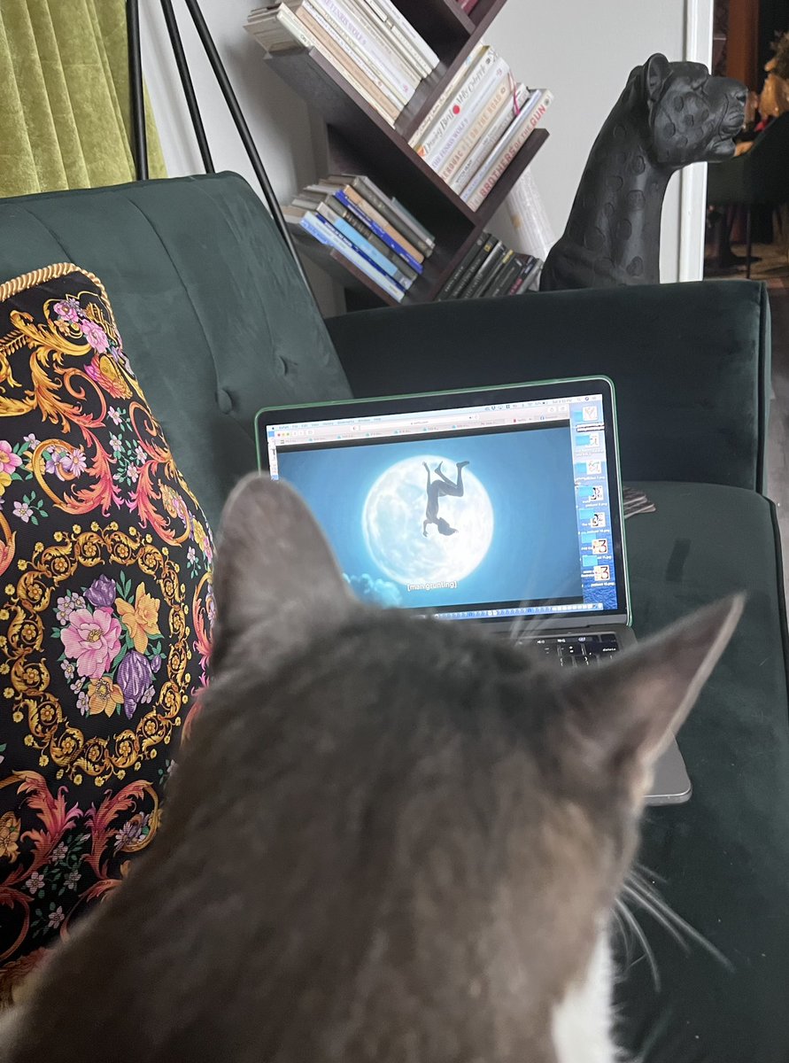 katelanfoisy's tweet photo. Allowed Qpi to watch the new episodes of The Sandman. I tried telling her it wasn’t my dream. She’d like to thank @neilhimself for exposing the truth. https://t.co/UKhy9AIJI2