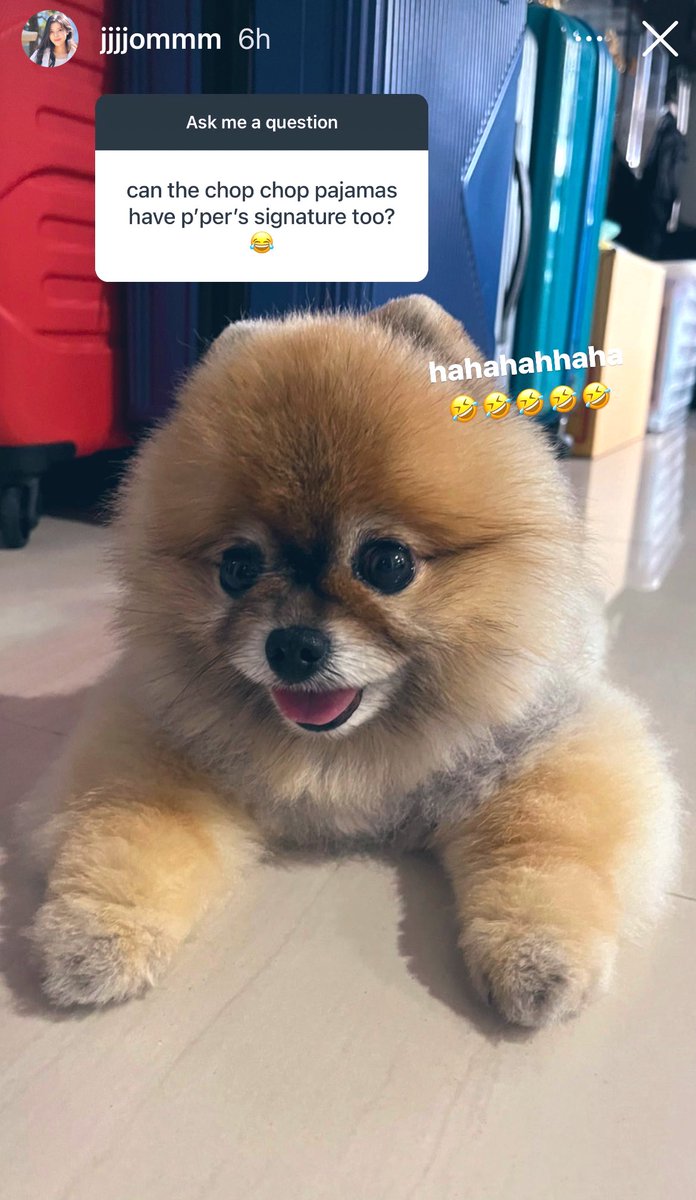 nimoyllap's tweet photo. jjjjommm IGS
‘質問して’
🗣 the chop chopパジャマは
(🐼のだけじゃなく)p'per(チョッパーの)サインも入れてもらえます?
Jom: hahahahhaha 🤣🤣🤣🤣🤣
//🐶に🐾してほしい~🤭❤️スペシャルセット❤️
BIODANCE X MEWJOM
@MSuppasit
#ShiningBoxXMSS
#MewSuppasit #มิวศุภศิษฏ์
#jjjjommm #Chopper https://t.co/qV3y4C5zcU