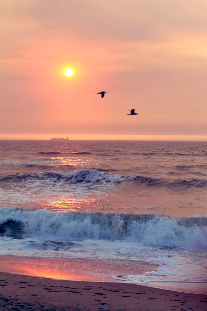 i happened to make acquaintances with a passerby at a caf place called “starbucks”. i think she thought i was joking when i said i wasn’t from earth, but she suggested i should go to a beach. and… excuse me, i’m almost speechless. it was impossibly hot there, though.