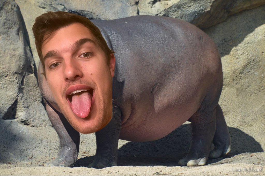 thebabyoracle's tweet photo. MAX HIPPO ALERT 🚨🦛🚨🦛🚨 (6-2 all-time record)
Cincinnati Reds (+120) TO WIN vs the Pirates
4pm. Free money. Get your bets in 💯 https://t.co/PNLOkU7L2q