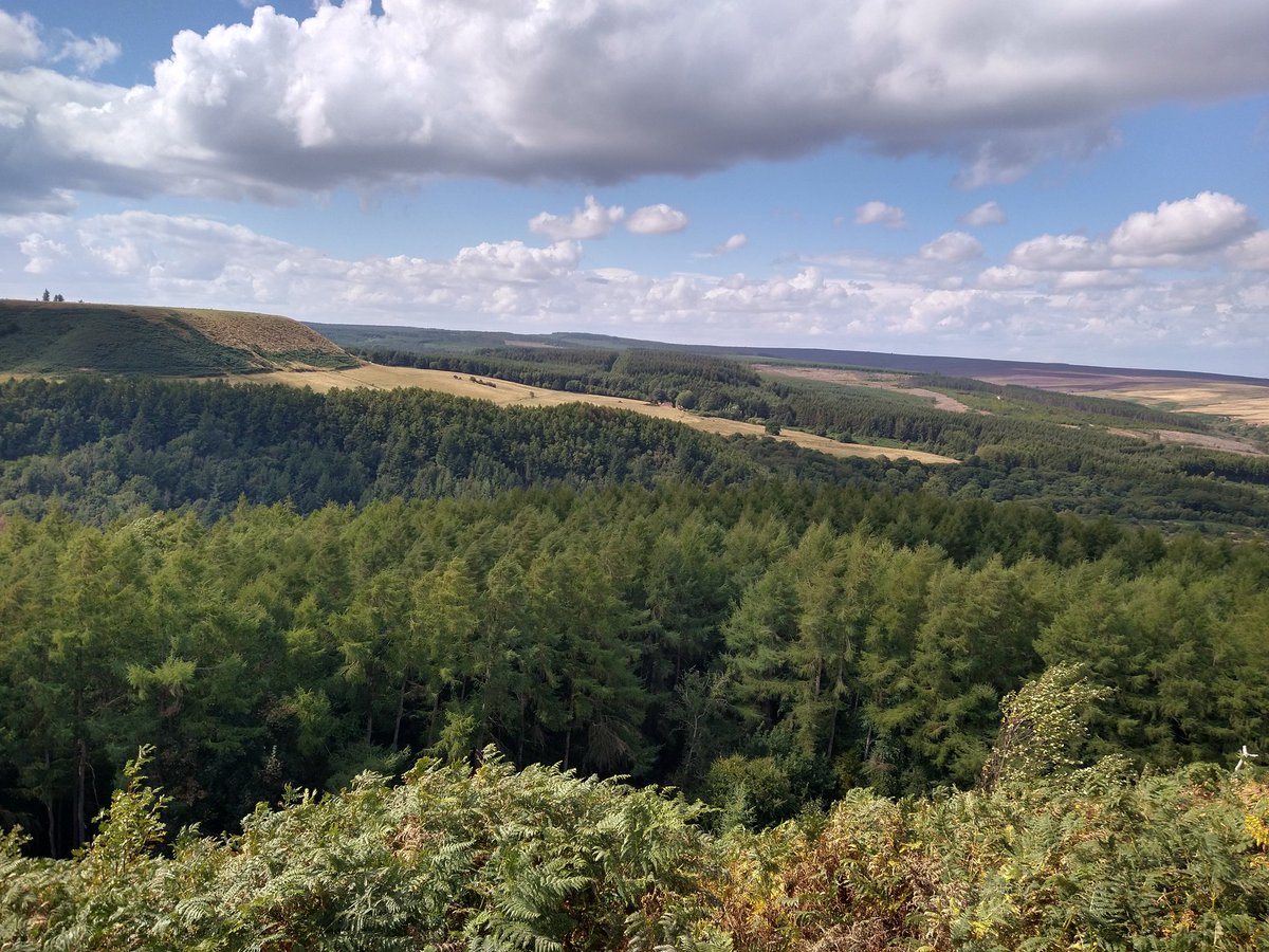 #AHPsActive Broka woods walk with perfect weather & views for a picnic (without complaining children too-bonus!)