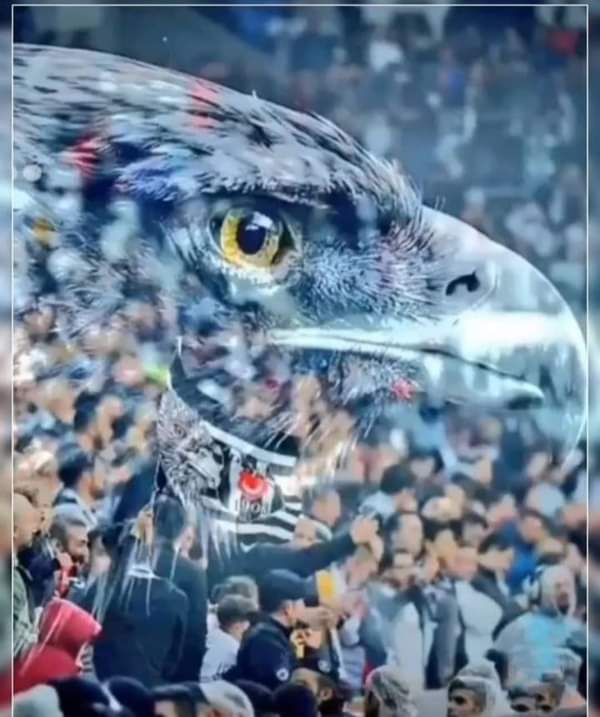 HARAMİLERİN SALTANATINI YIKACAĞIZ 🦅
#BeşiktaşınMaçıVar 
#ElineKolunaSahipOlTff