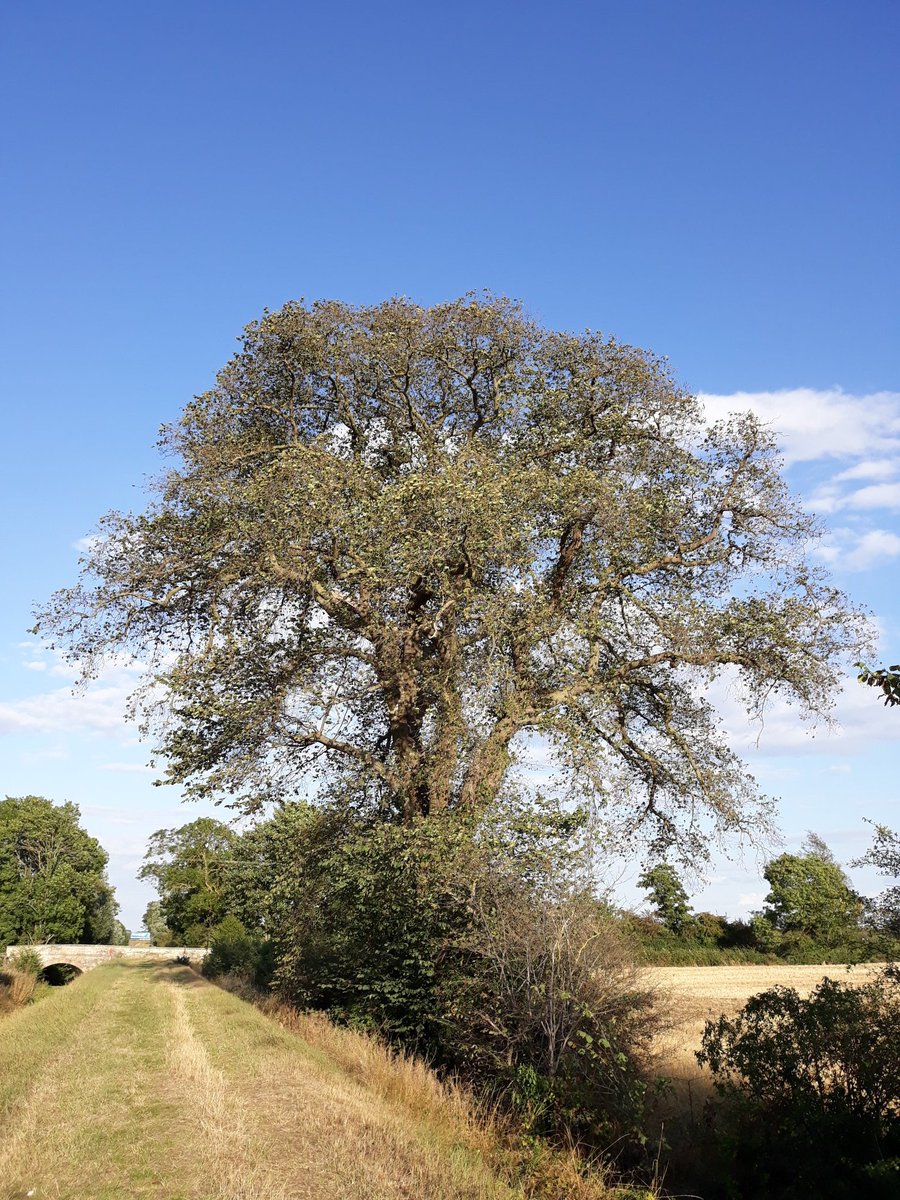 Christine Reid tweet media