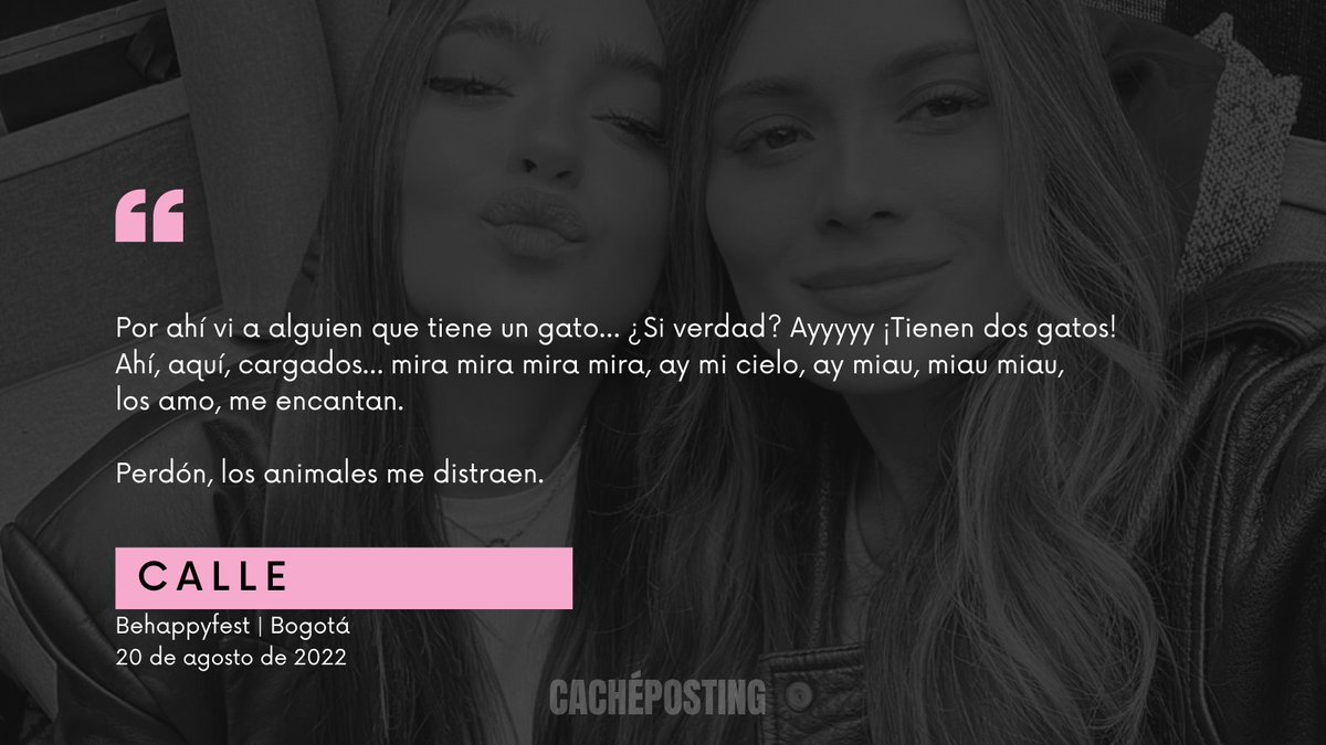 cacheposting's tweet image. "ay mi cielo, ay miau, miau miau, los amo, me encantan." 
- Daniela Calle