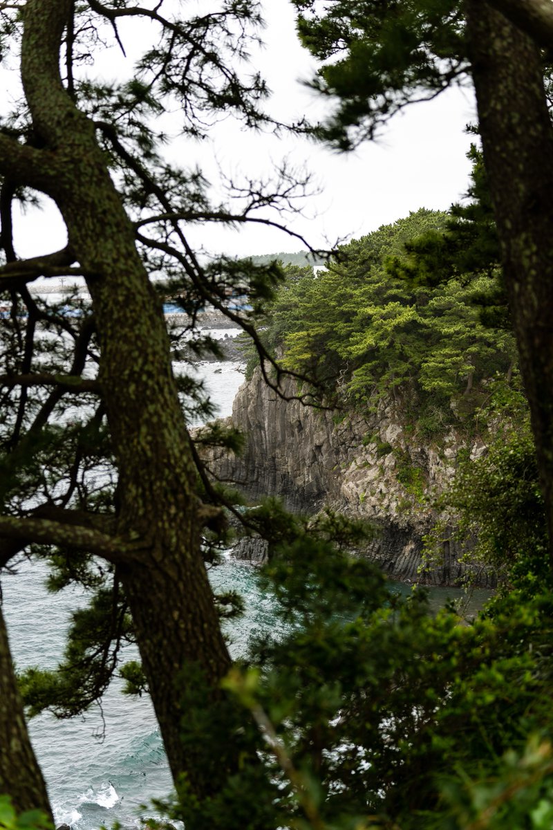 KacperLewtak's tweet photo. A few more photos from Jeju Island! Quite a bit of the coast consists of rocky outcroppings. Nonetheless, it's was a beautiful sight to go and see. #korea #vacation #travel #photography https://t.co/QhHUnkVVaw