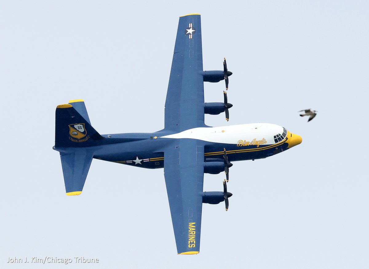 plane bird

North Avenue Beach