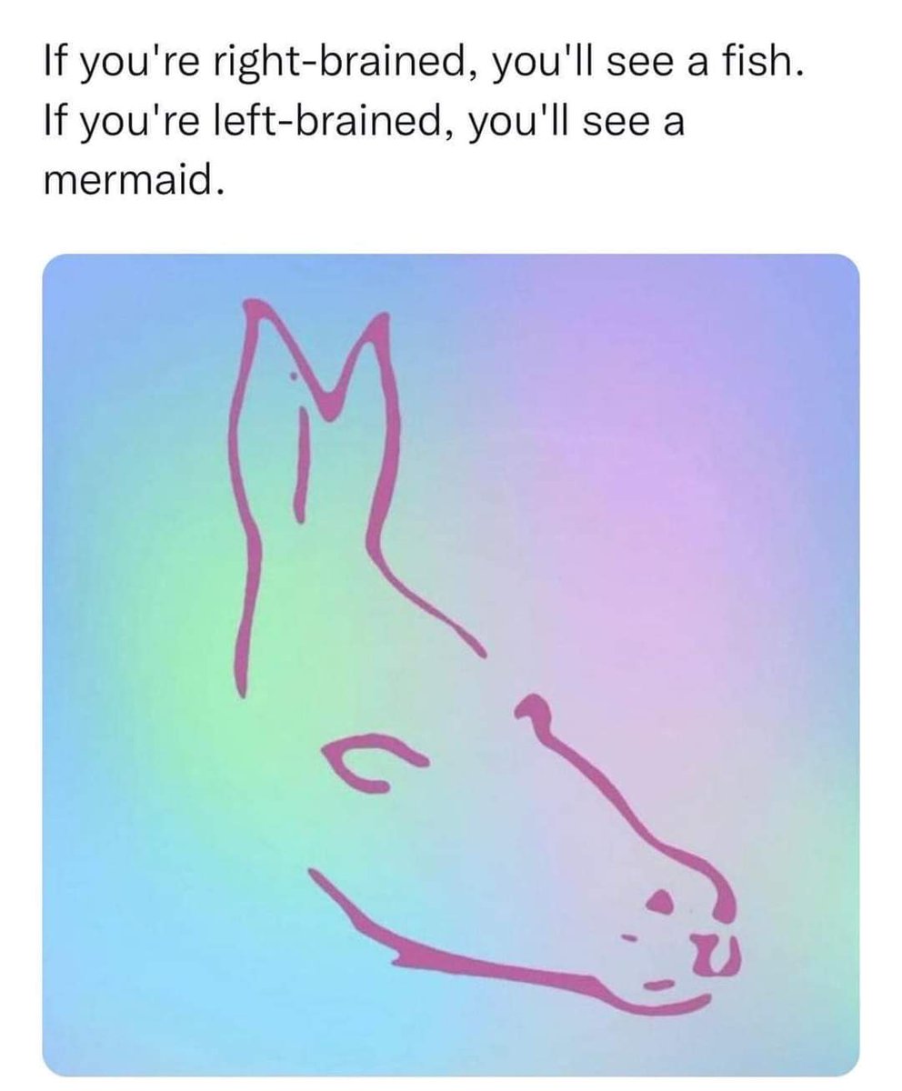 frank hahn tweet media