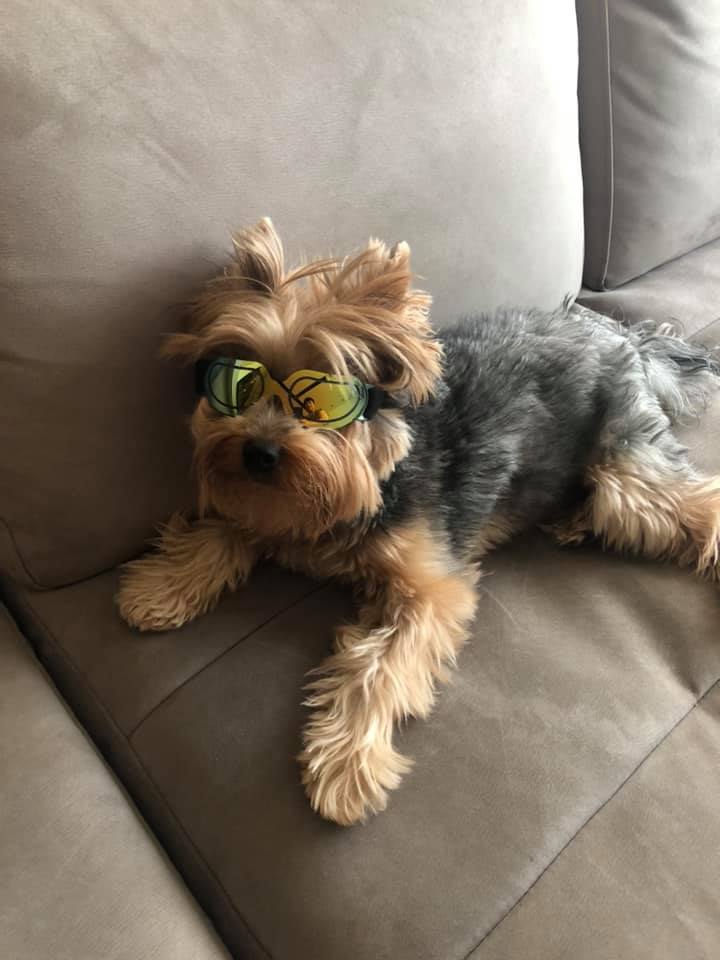 Charity_Rev's tweet photo. Cool dude Elvis
Share your cool dude picture in the comments
#charityrevolution #selectservices #SMSmessages #progressivewebapps #webdetective #websiteaccessibility https://t.co/oo1pSd5GZ1