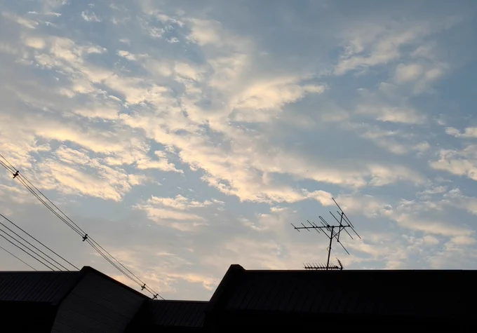 おはようですまだ、暑いですよね𖦹  ̫ 𖦹朝から、作業で汗ばんでます(卓上領域展開だけど…)幸い、発熱もなく、喉が痛くなることもなく、ここ数日は風邪だったようです   しかし、病院で診察してもらえないのは、少しだけモヤモヤ良い週末を 