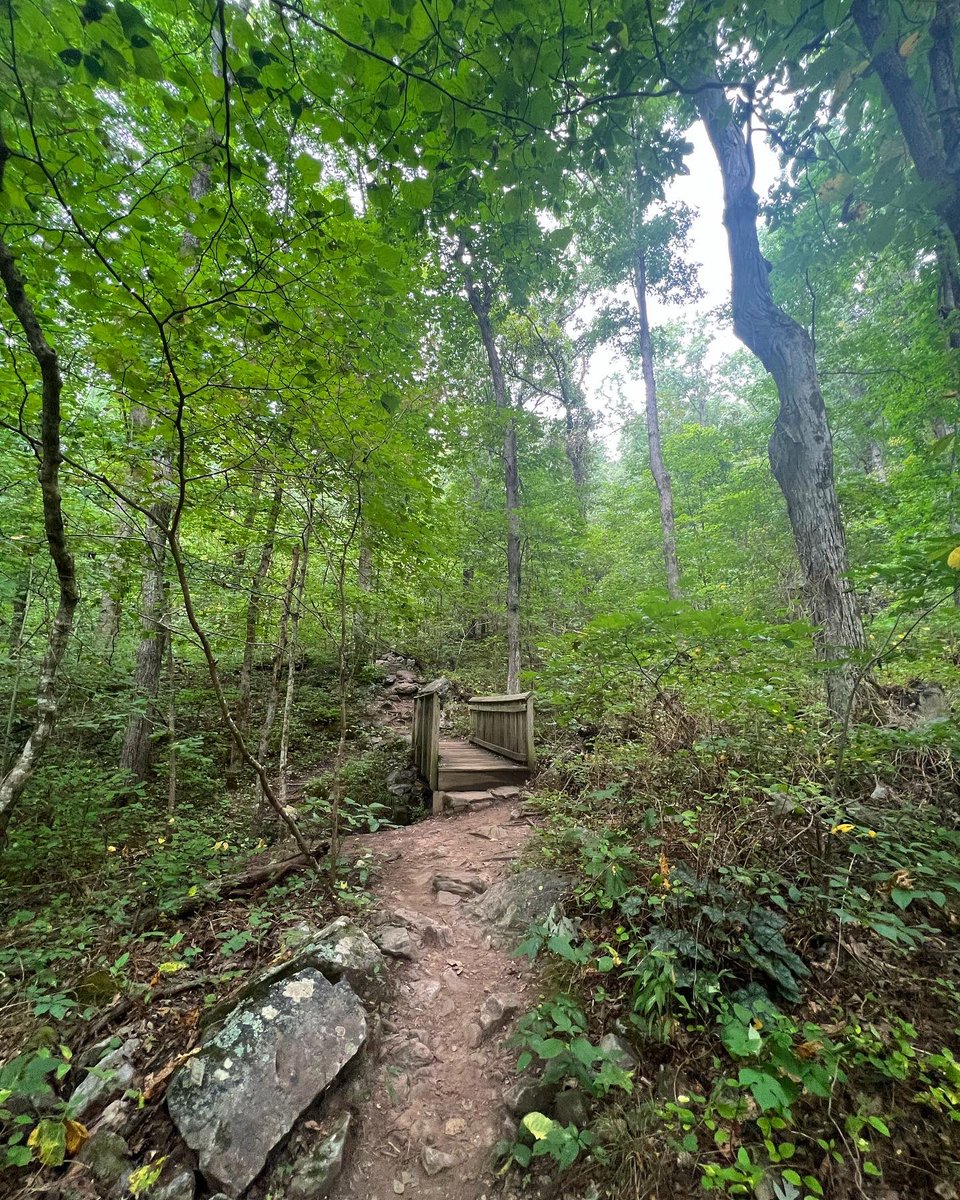 mac_cheeves's tweet photo. triple threat in the hills of east TN
-11mi trail run at Haws Ridge 🏃🏻
-5mi summit of House Mountain ⛰
-chill level 💯 at the Fort Dickerson Quarry
🎶 @thebrevet #feelslike
@TristarAdventur @flagnorfail @yeti_runners #seenonmyrun #trailrunning #runtn #hillbillyviking https://t.co/37BIqSXbvX