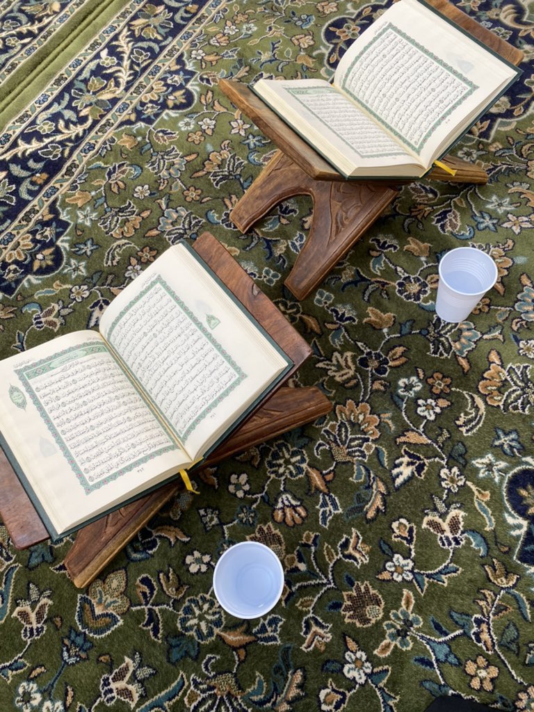 بتــول tweet media