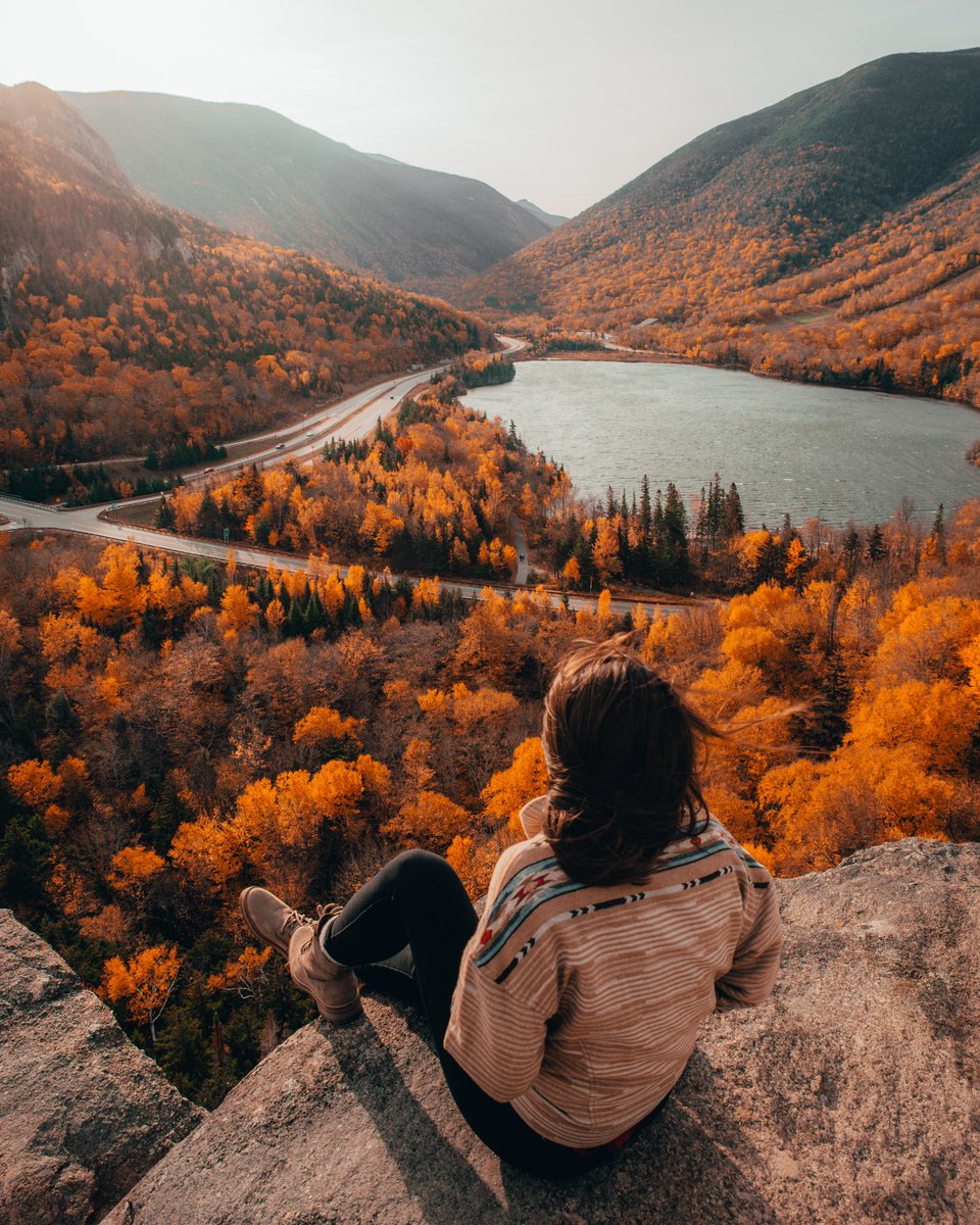 Emily Thomas tweet media