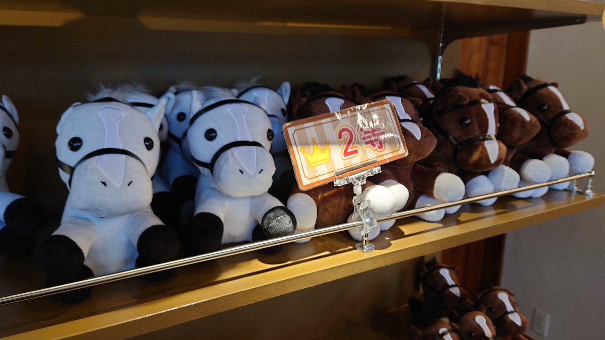 昨日ノーザンホースパークで見た、夏休みエンジョイホースくじ