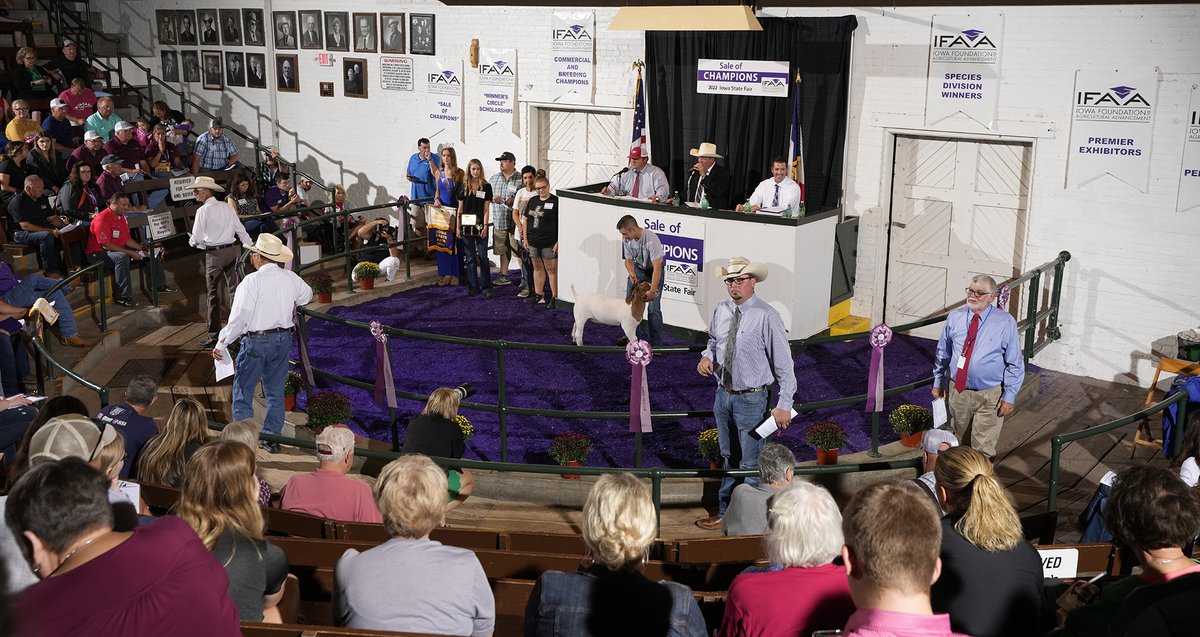 A record $481,500 raised from Sale of Champions today at #IowaStateFair @IowaStateFair #ISFFindYourFun @IAWinnersCircle #FFA