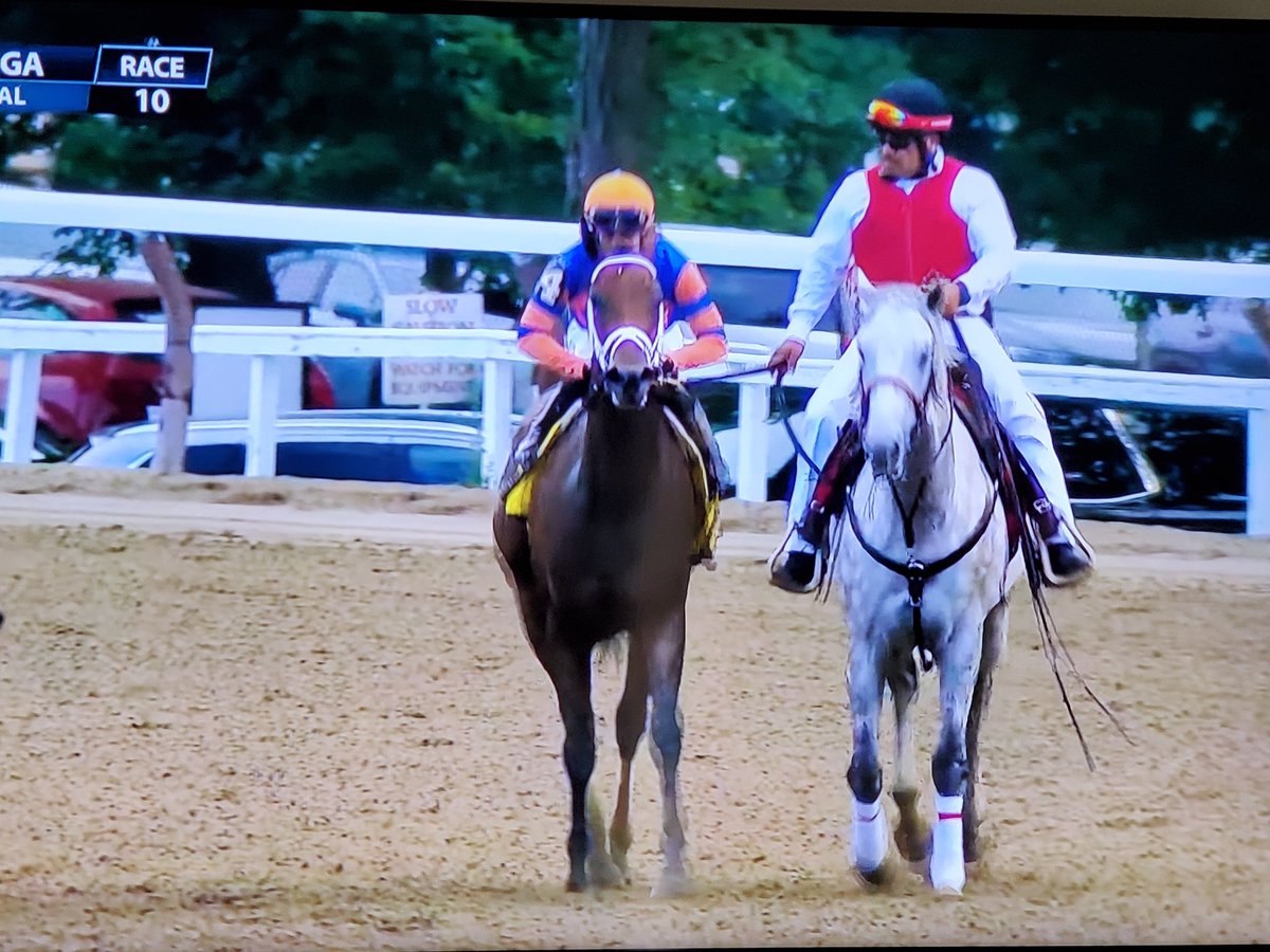jlvgjockey's tweet photo. SUPERSTAR "NEST" ALABAMA STAKES G1
Parciales lentos✅️
Afuera de la velocidad✅️
Tremenda aceleración final✅️
"Turn of foot"
SECRET OATH no tuvo excusa, carrera a su estilo, corrio a escasos cpos de Nest, no pudo, mejor que el resto.
@iradortiz
#Pletcherracing https://t.co/R8mzMRVcda