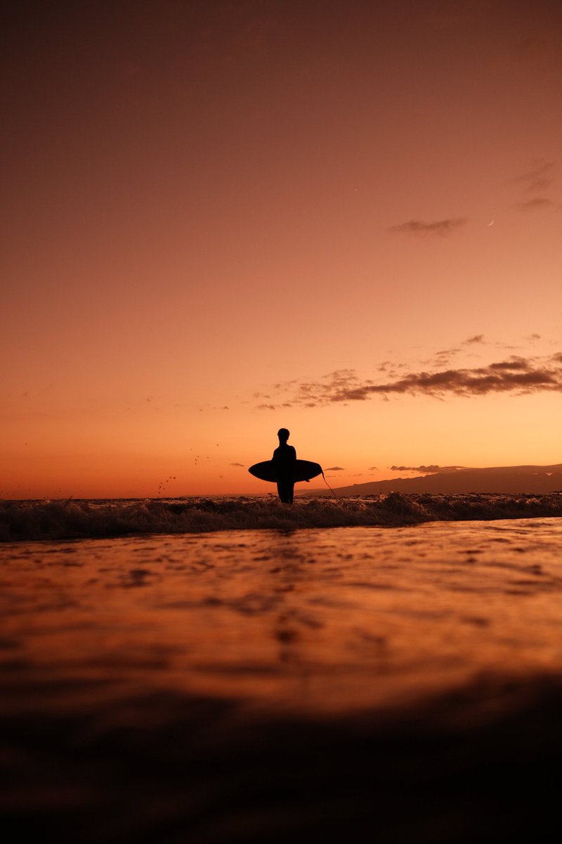 Hilo de mis fotografías favoritas, me ayudarían mucho con un RT!