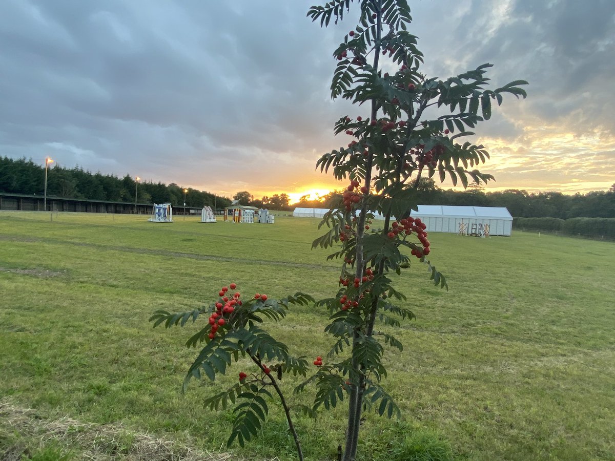 iverkshow1826's tweet photo. Seven days and counting ….. #IverkShow countdown https://t.co/QxzeBLMFAA