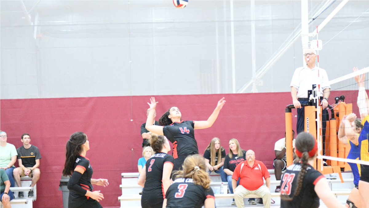 Volleyball: Lady Falcons Win Two
 - wearefc.com/article/446