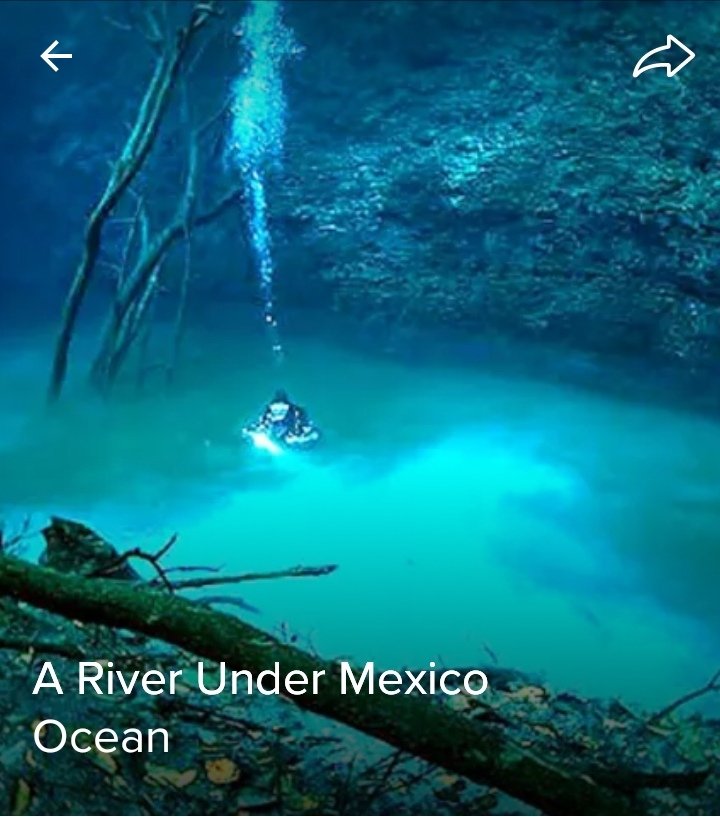 Techsign2's tweet image. Submerged in deep water, one of the last things a diver may expect to find 90ft below the surface is a river view. But that's exactly what awaits those bold enough to dive in Mexico's Cenote Angelita.