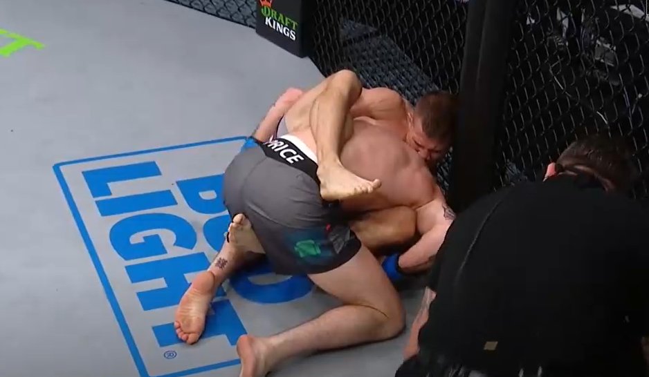 InTheCage.pl tweet media