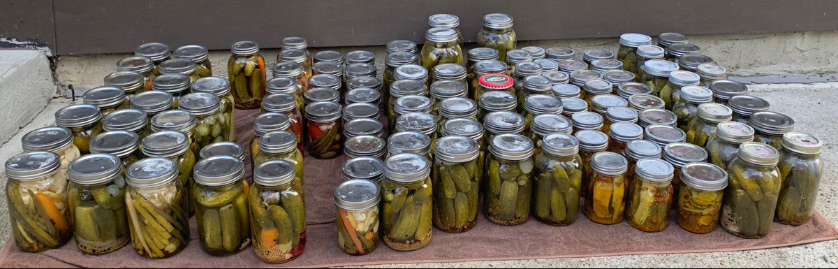 It is #HavinAHeatWave hot outside, so…  Helped at a #PickleParty , yielding forty-plus jars (most dill, some bread-and-butter).  Not quite the 110+ from the edition two years ago; nevertheless an example of insights from #CamillaWynne .

<a href="/PrsrvtnSociety/">Camilla Wynne</a>

camillawynne.com/books/preserva…