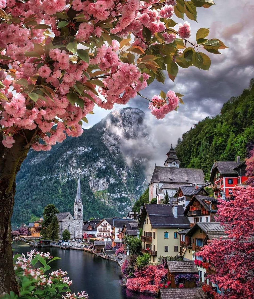 shaltoutabuelim's tweet photo. 🕊️ Good morning  my friends I've yet come back after a long absence of health conditions, miss you all🍃💞
#NaturePhotography
#NatureBeauty 
🌼🌻💐🌹🌺🌷🪷🌸🥀 https://t.co/6t8RFBRGxm