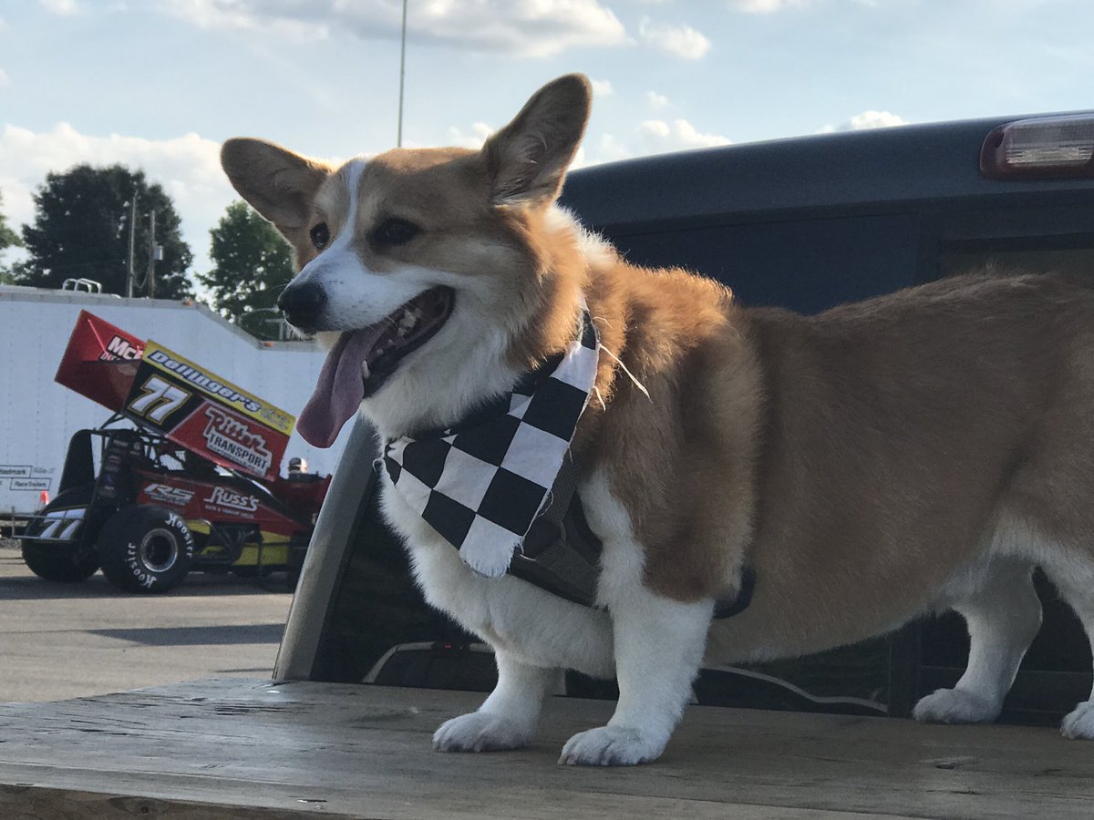 PushCorgi's tweet photo. Gonna be a busy night of pushing but I’m ready!!!! Open Wheel Madness at @PortRoyalSpdway 🏁🏁🏁 https://t.co/NSydrqc0bi
