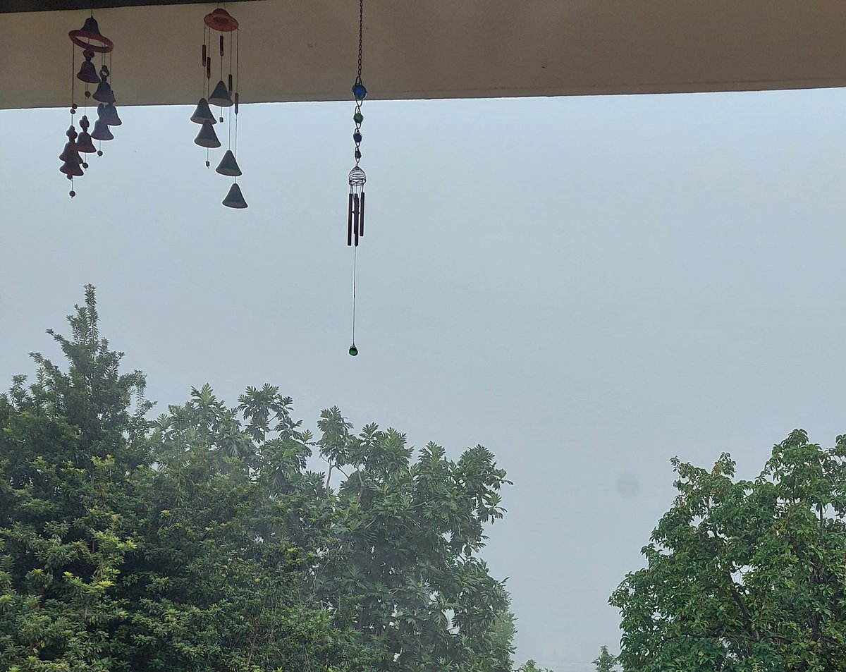 gemgord's tweet photo. See why ya so nice. Total fog. #noview weather fe 🤫🤫 https://t.co/yW9OhlWkKc