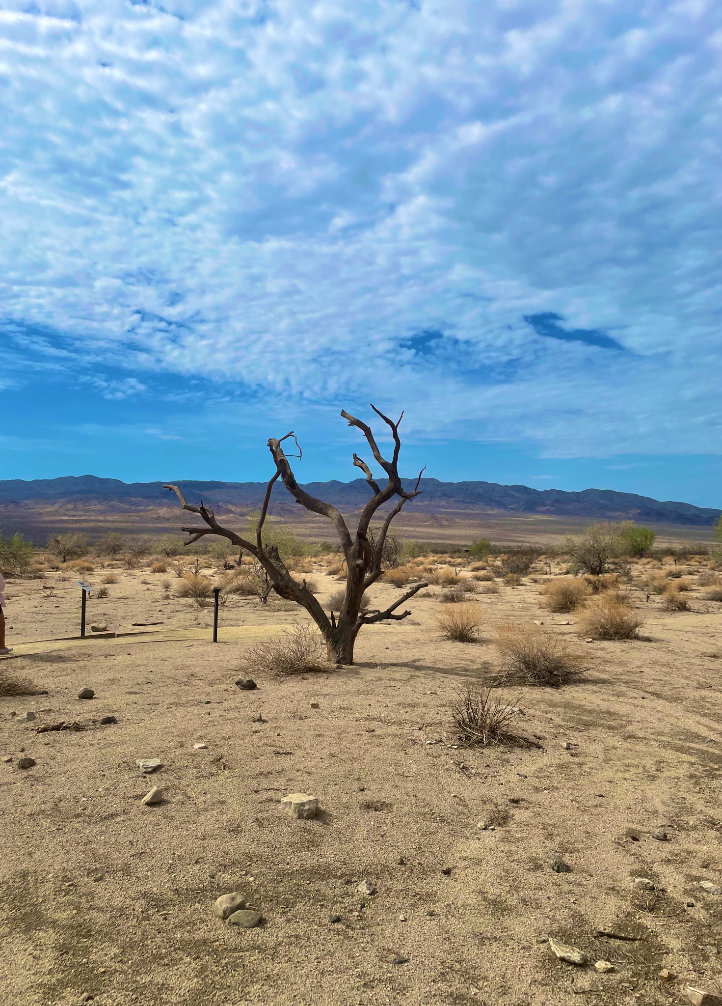 jon-lion-fine-art-on-twitter-ya-know-i-ve-always-heard-the-term