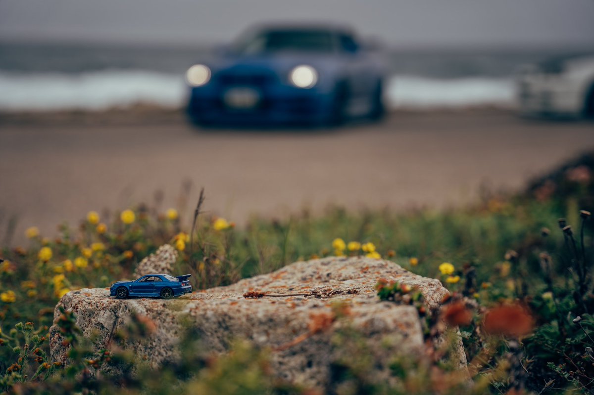 popzzicles's tweet photo. Monterey with a view https://t.co/EfG1YDxPoN