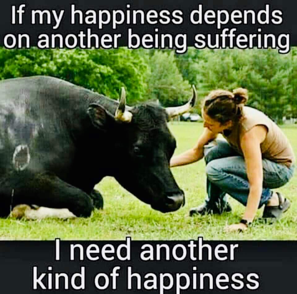 GoVEGANOne's tweet photo. #vegan, #veganism, #plantbase, #plantpower, #plantbased, #plantpowered, #health, #wealth, #environment, #animals, #nextgeneration, #beresponsible, #ethics, #endallsuffering, #endsuffering, #reducesuffering, #reducesufferingtotheminimum, #animalsarenotthings, #animalsarefriends https://t.co/PkC2JCjauK