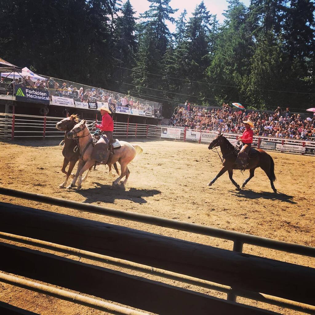 codeadamca's tweet photo. #coombs #coombsrodeogrounds #bullsbroncsandbarrels https://t.co/NsdVL20IES https://t.co/citbxZVS4P