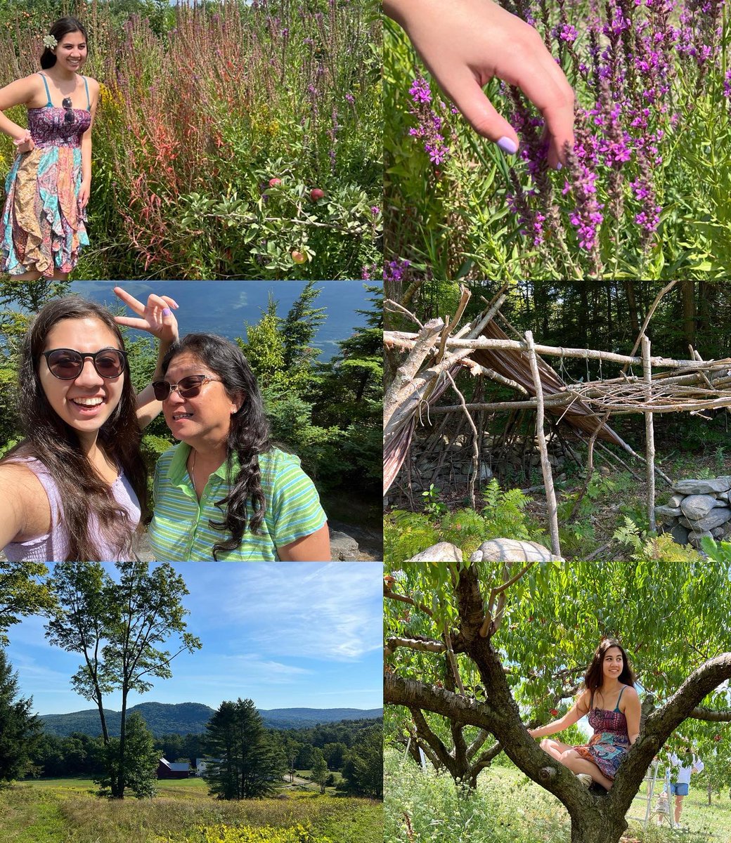 GabbyMaresco's tweet photo. #vermont #travel #nature #summer 💗💗💗💗 https://t.co/f5gHhDZe4U