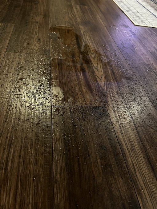 Well. I may have squirt. Sorry there&rsquo;s not a video 😢 https://t.co/l2YBwFdQSJ<a href="/tag/horny"class="tags"><span>#horny</span></a><a href="/tag/pussy"class="tags"><span>#pussy</span></a><a href="/tag/nsfw"class="tags"><span>#nsfw</span></a><a href="/tag/wetpussy"class="tags"><span>#wetpussy</span></a><a href="/tag/vibrator"class="tags"><span>#vibrator</span></a><a href="/tag/lovenselush"class="tags"><span>#lovenselush</span></a>