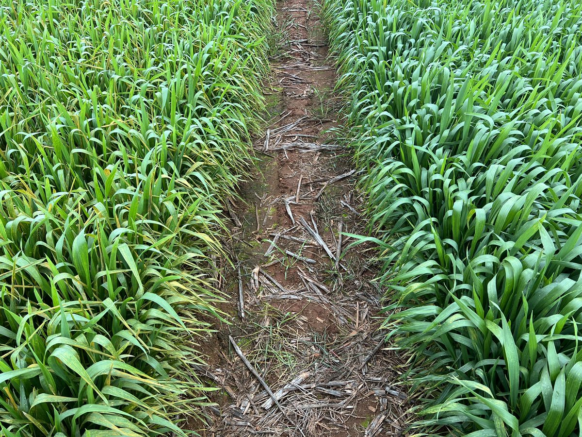 Barry Haskins tweet media