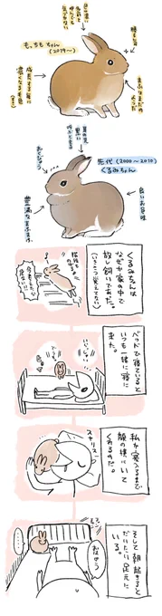 #バニーの日 ということで去年ファンボに上げてたものお。何度でも布団を洗おう 
