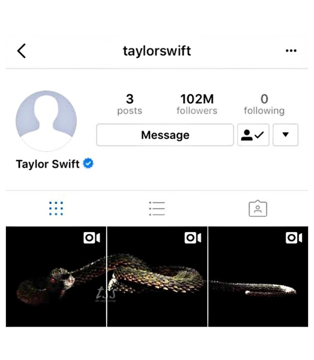 MundoSwiftt's tweet photo. Hace 5 años Taylor Swift hizo temblar a todos, publicando el vídeo de una serpiente en su Instagram. El Comeback mas ICÓNICO https://t.co/PdkfJPmTkI