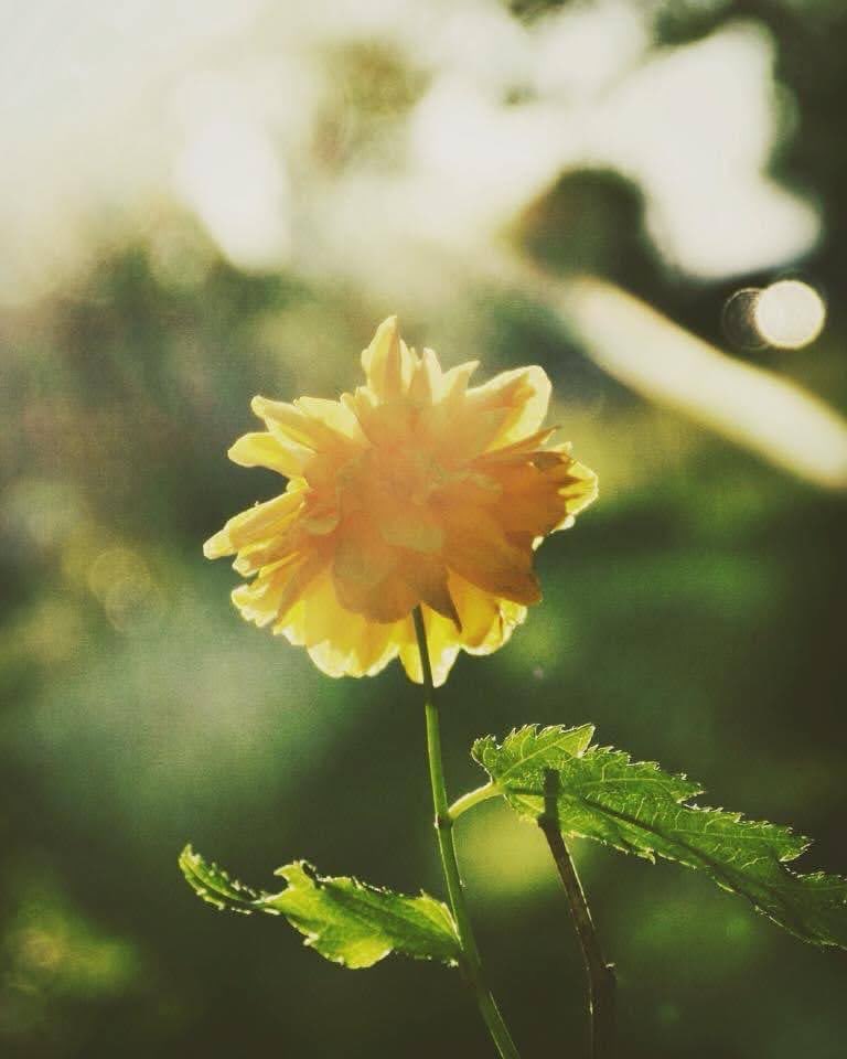 scribblingmess's tweet photo. old photography>> https://t.co/qXxIvTjQvO