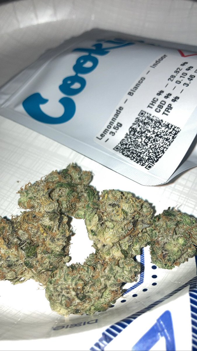 NickGarcia305's tweet photo. The Blanco from #CookiesMiami is Depinga shoutout @berner415 @cookiesglobal 🍪🔥💨 https://t.co/IULVCoMYY3