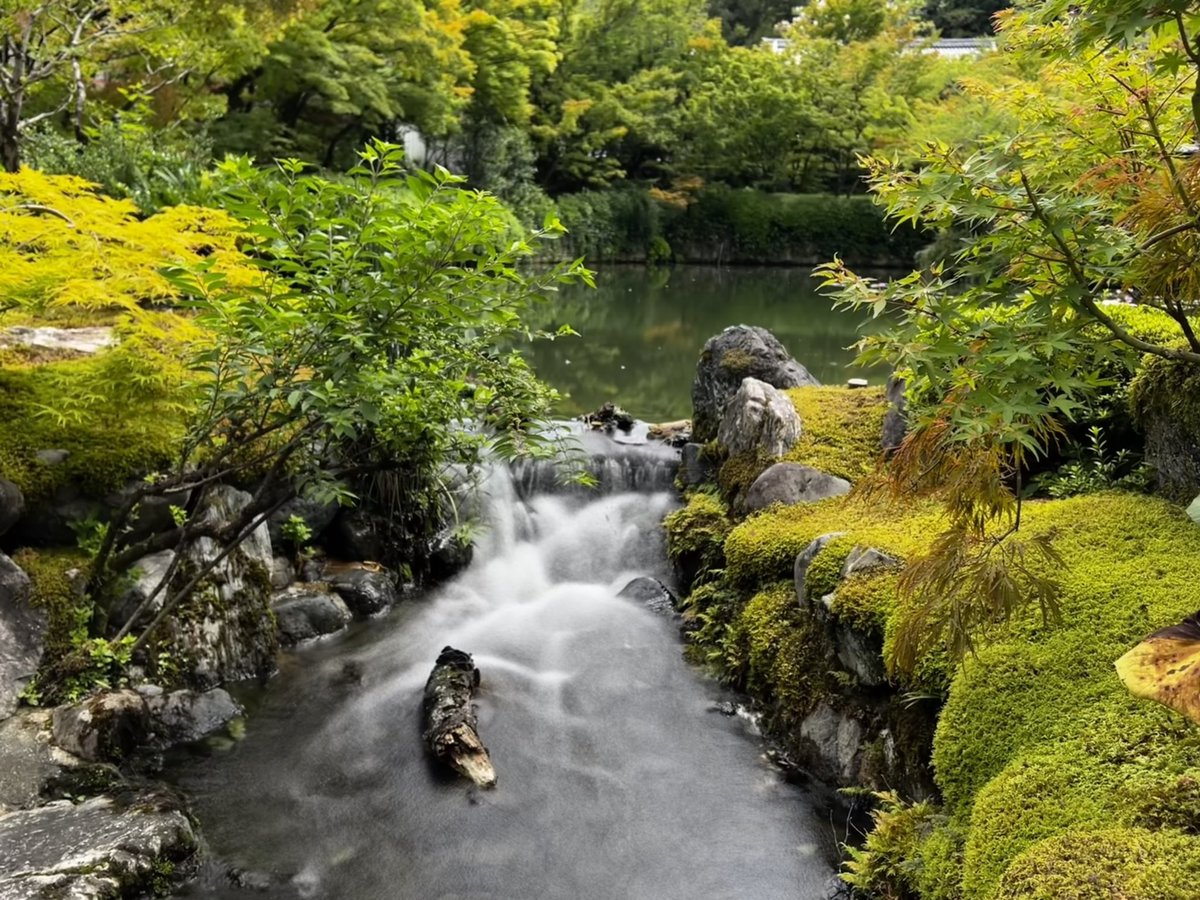 京都は どこを切り取っても 絵になりますよね♫ めちゃ綺麗です✨