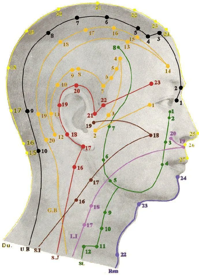 Self Defense Pressure Points Chart