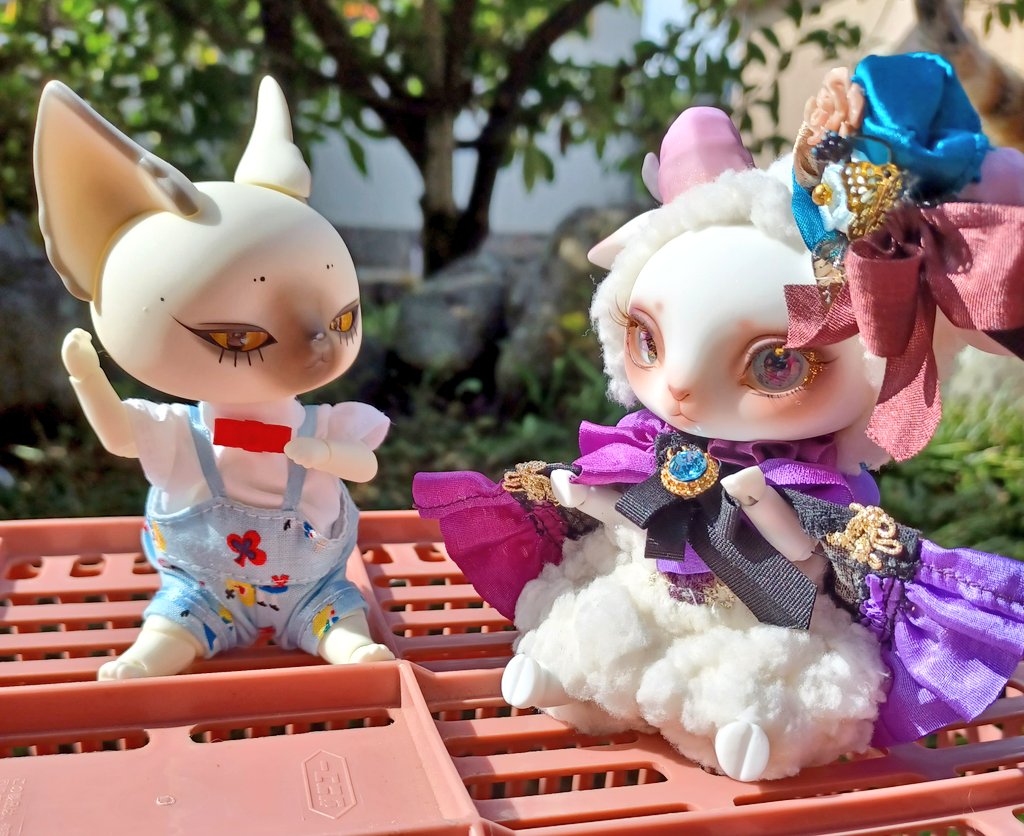DOLK×DEAR MINE】Fluorite LORENZ bean | pick.com.mx