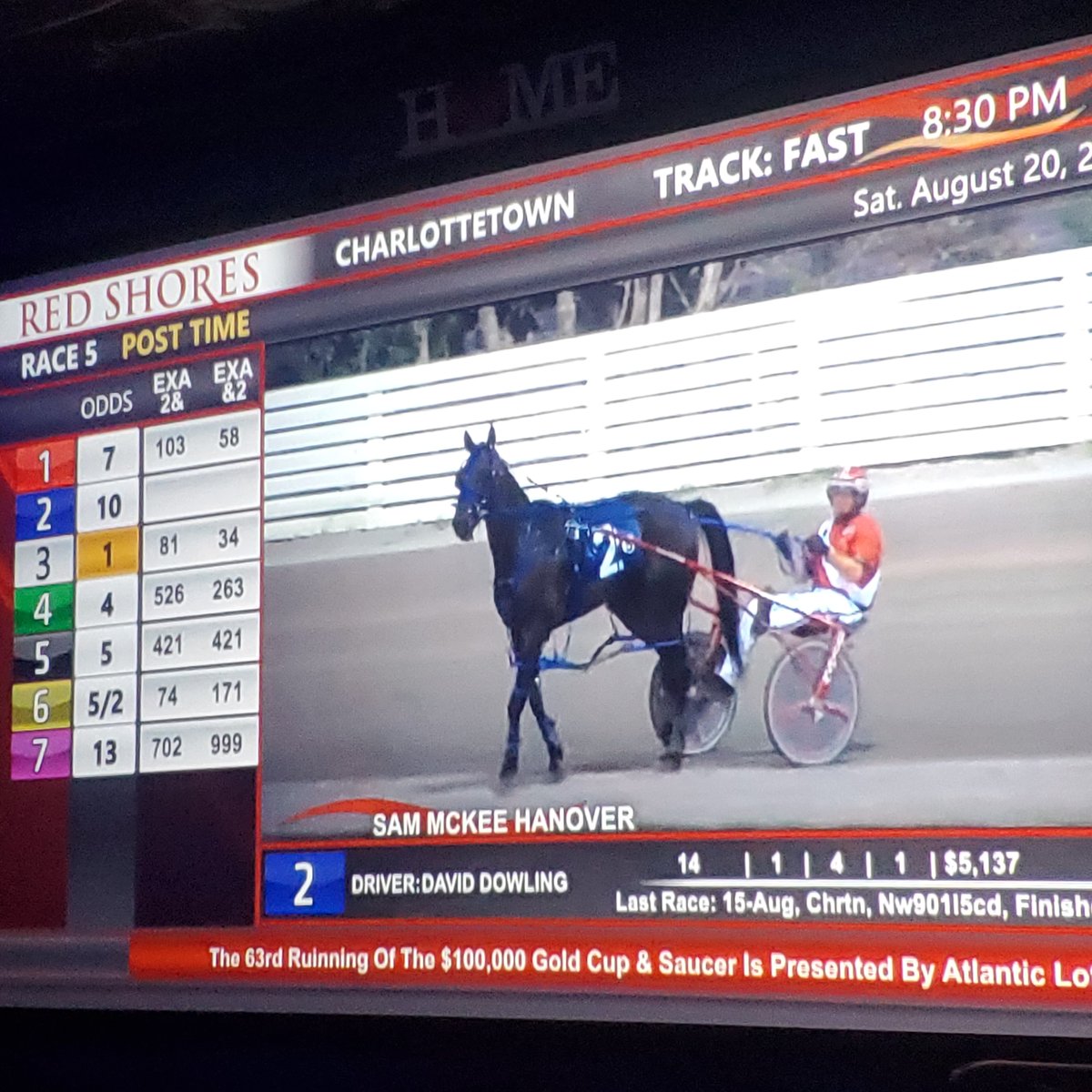 HorseFan4Life's tweet photo. Spending my Saturday Night watching the 2022 Gold Cup &amp; Saucer... @Red_Shores #Cup22 https://t.co/NAjEk6xsTS
