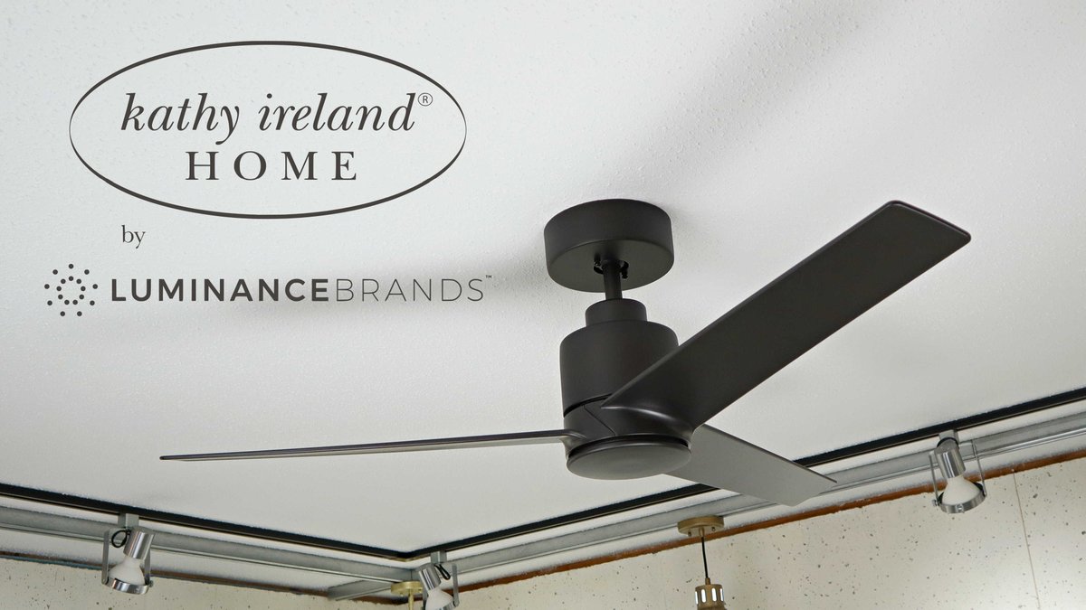 Vintage Fans & More tweet media