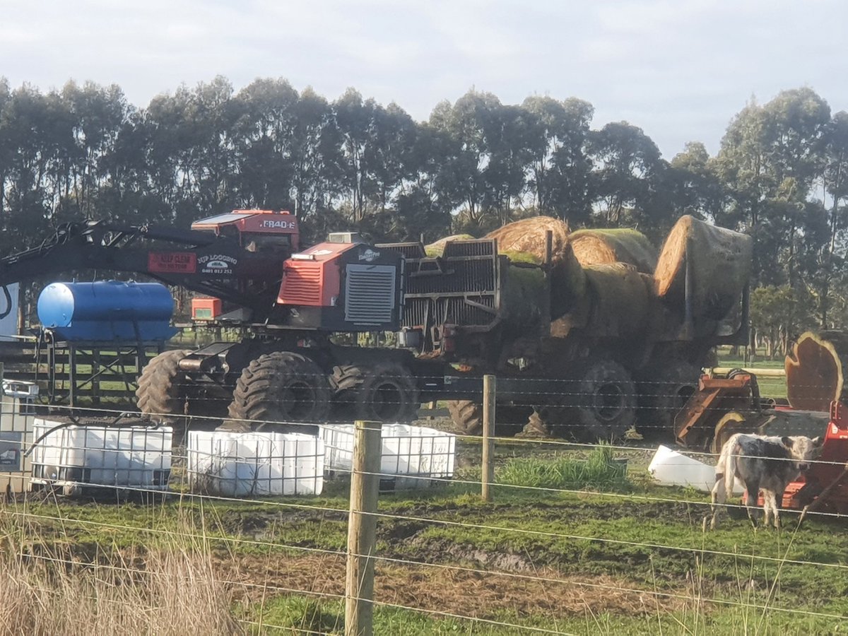 Craig Dwyer tweet media