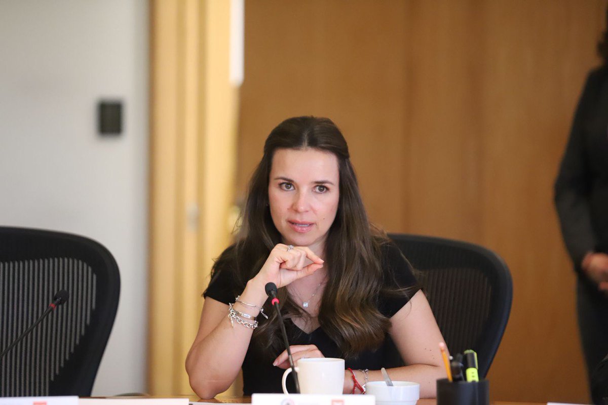 Gracias al esfuerzo de mujeres de <a href="/LasConstiMX/">Las Constituyentes Feministas</a> , en el 2020 se logró que se incluyera la 3 de 3 contra la violencia, donde los partidos políticos no pueden postular a personas con sentencias por acoso sexual, violencia doméstica y deudas de pensión alimenticia.