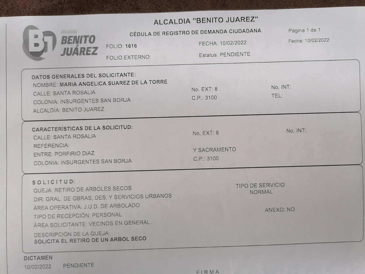 alfredokriki's tweet photo. @BJAlcaldia Desde febrero 2022 se presentó una demanda ciudadana con folio 1616, en la cual se solicitó apoyo para derribar un árbol muerto de alto riesgo y no se ha atendido. Adjunto foto de la demanda, fundamento y foto.
Suplico su apoyo #accionesxtucolonia https://t.co/cHa9bHJBAi